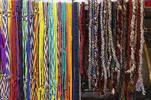 Saudi Arabia, Tabuk. Bridle ropes for sale at the market. Nature Print